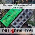 Kamagra 100 Mg Jalea Oral Cómo Usar new04